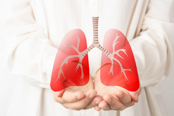 Best Lung Health Supplements for Asthma Patients | Expert Insights and Natural Remedies