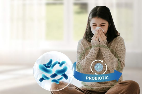 Can Probiotics Really Help with Allergies? A Scientific Guide for Malaysian Families | Bai Zi Gui
