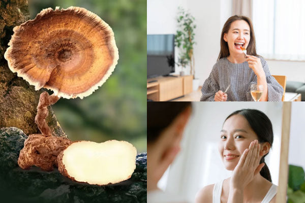 How Tiger Milk Mushroom Supports Women’s Wellness Naturally