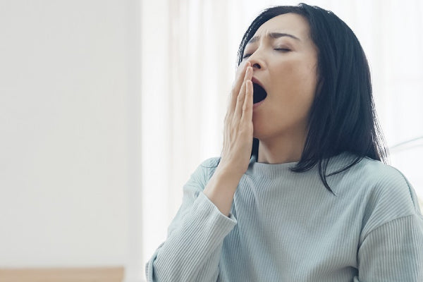Dampness Removal vs Detox: Baizigui Explains the Real Difference for Better Health