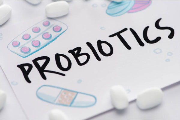 Probiotic Powder vs Capsules: How to Choose the Best for Your Gut Health