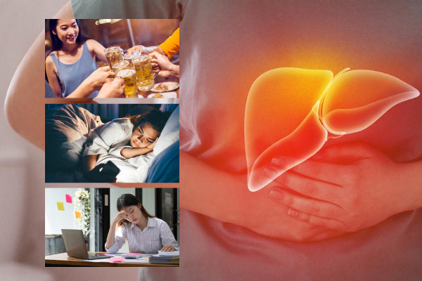 Drinking, Late Nights, High Stress? Liver Health Supplements Malaysia Can Help Protect Your Liver
