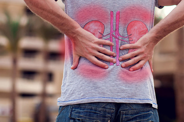 What Should Men with Erectile Dysfunction Eat? A Complete Kidney and Yang Boosting Diet Guide | Bai Zi Gui
