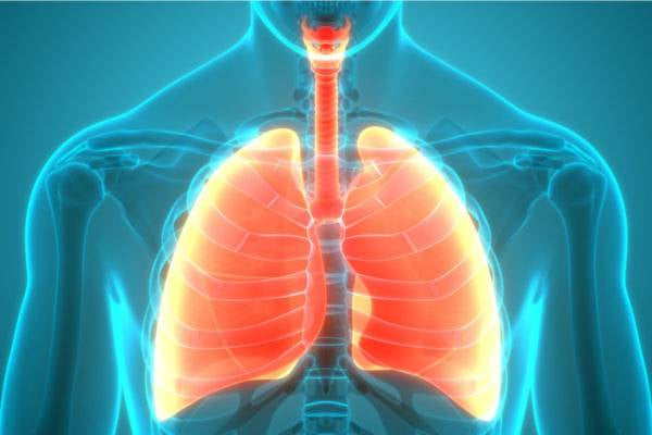 Emphasizing Lung Health: Key to Preventing Influenza and Boosting Immunity