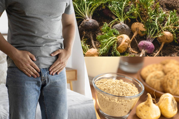 Is Maca Linked to Testosterone? Exploring Hormones and Lasting Performance as a Natural Choice for Men