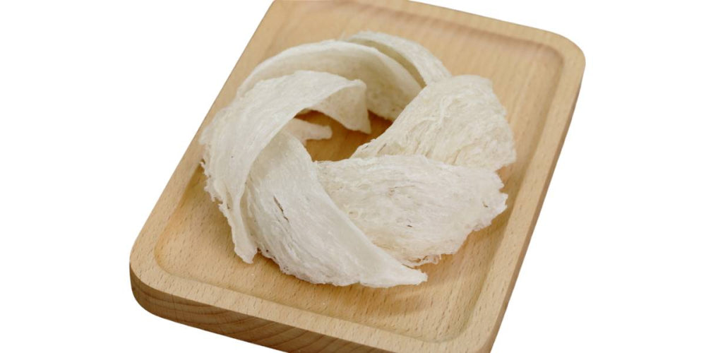 Real vs. Fake Bird’s Nests: How to Tell the Difference