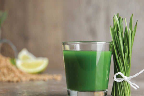 Wheatgrass and the Hidden Benefits You Didn’t Know Your Body Needed