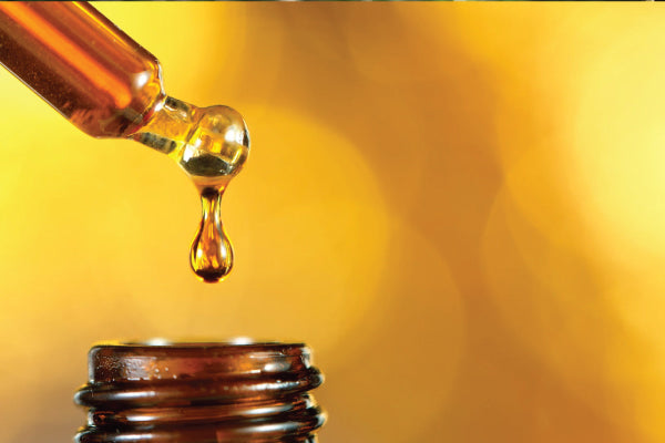 The Protective Power of Propolis During Cold Season