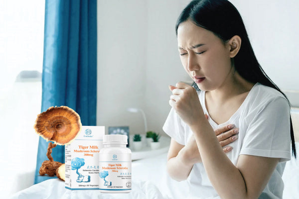 Frequent Colds or Persistent Cough? Your Lungs Might Be Crying for Help | Natural Respiratory Support with Tiger Milk Mushroom