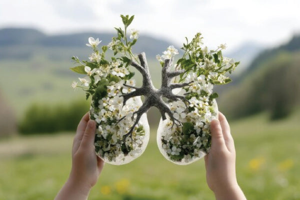 The Relationship Between Lung Health Supplements and Pulmonary Immunity: A Modern Wellness Imperative