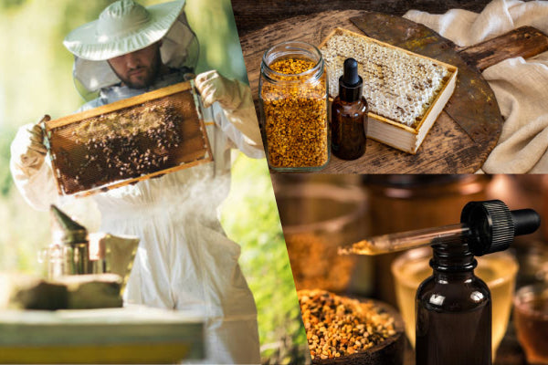 Can Propolis Help Relieve Cough? A Scientific Look at Natural Immune Protection