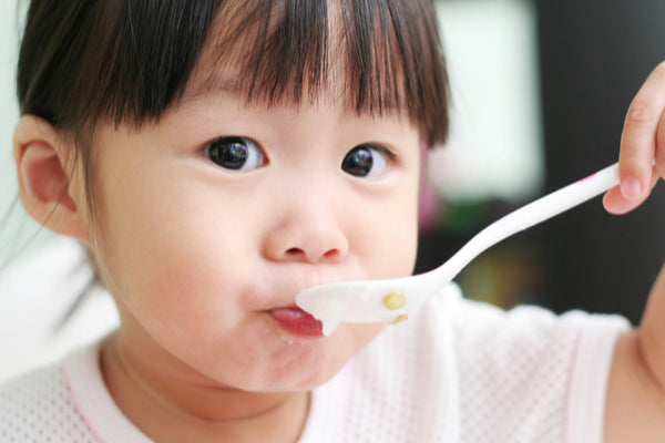 Can Children Eat Bird’s Nest? Unveiling Its Role in Brain Development and Immune Support