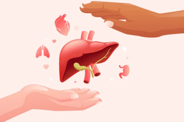 What to Eat for Liver Health? Discover Glutathione and Boost Liver Function Naturally