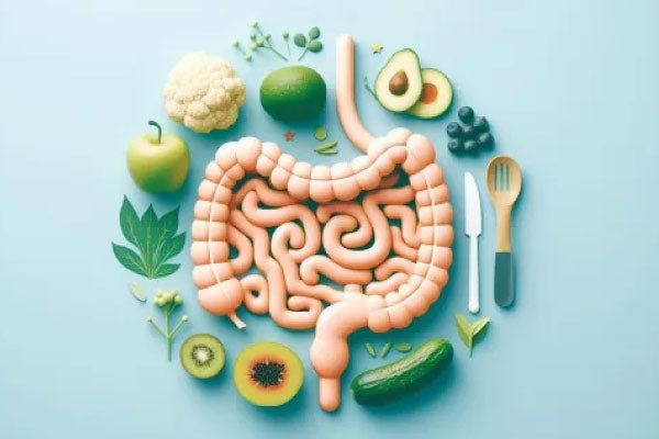 Probiotics Malaysia: What You Need to Know About Probiotics vs Prebiotics