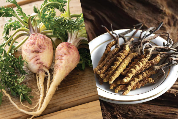 Maca vs Cordyceps: Which Herbal Supplement Is Right for You?