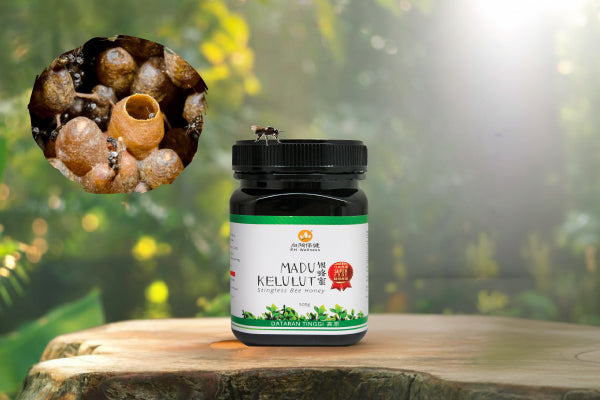 Why Diabetics Are Turning to Stingless Bee Honey as a Smart Sweetener Alternative