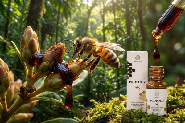 Why Do Some People Never Catch a Cold and Age Slowly? Revealing the Natural Immune Plug-in of the Body, TruHerbs Brazil Green Propolis