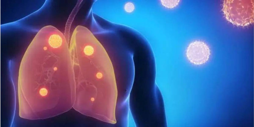 COVID-19 Left You with Weak Lungs? Try These Four Traditional Chinese Medicines | Bai Zi Gui