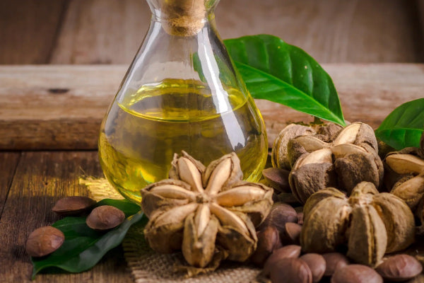 Everyone Is Eating Sacha Inchi to Lower "3-Highs"? The "Plant Brain Gold" Purer Than Fish Oil, These 5 Groups Need It Most