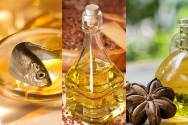 Fish Oil, Flaxseed Oil, Sacha Inchi Oil Great Battle! Who Is the "King of Cost-Performance" for Omega-3?