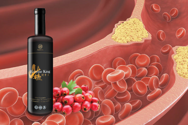 Beyond Digestion: How TruHerbs Hawthorn Enzyme King Acts as a "Cardiovascular Scavenger"