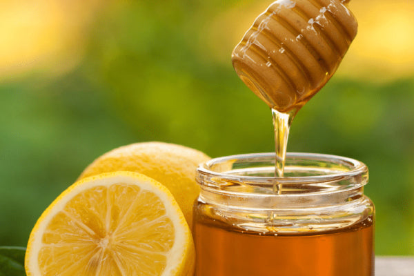 The Ultimate Honey Guide: Why Floral Source is the Secret to Its Healing Power