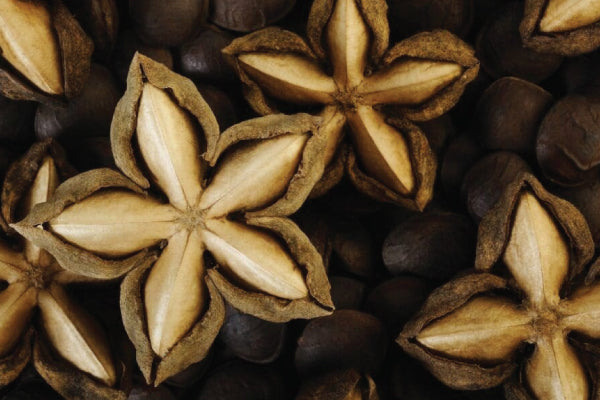 Relieve Numbness and Support Heart Health: Why Sacha Inchi is the Essential Superfood