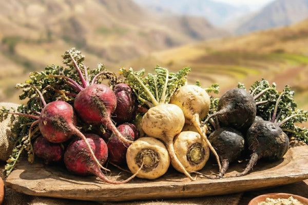 Life After 40: Navigating Men's Health Challenges and Reclaiming Your Peak Vitality with Maca