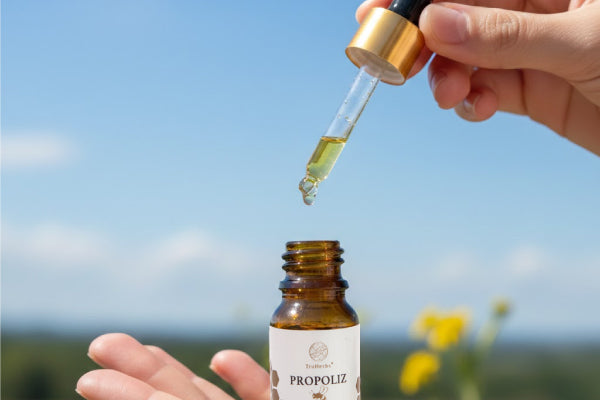 The Immunity Shield in Malaysia: Why Propolis is the Essential Companion for Your Local Lifestyle