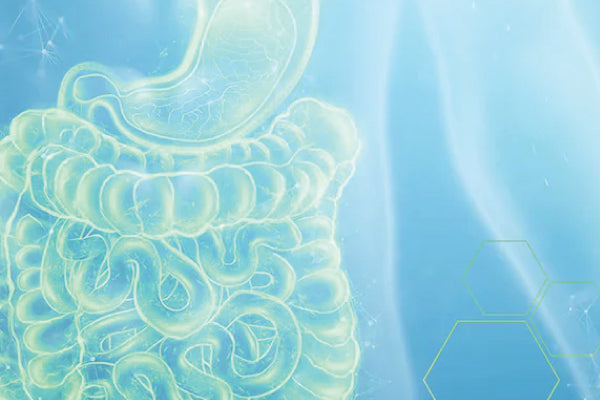 Probiotics Malaysia: From Nasi Lemak to Mala Spicy Steamboat Sessions, How to Restore Your "Glass Stomach" for Good