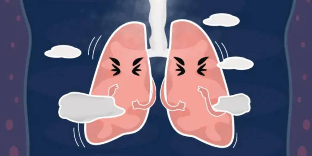 What Supplements Should People with Poor Lung Health Take? | Lung Health Supplements