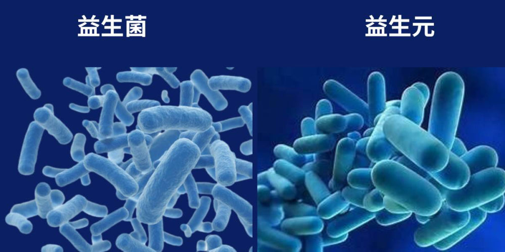 Probiotics and Prebiotics: What's the Difference?