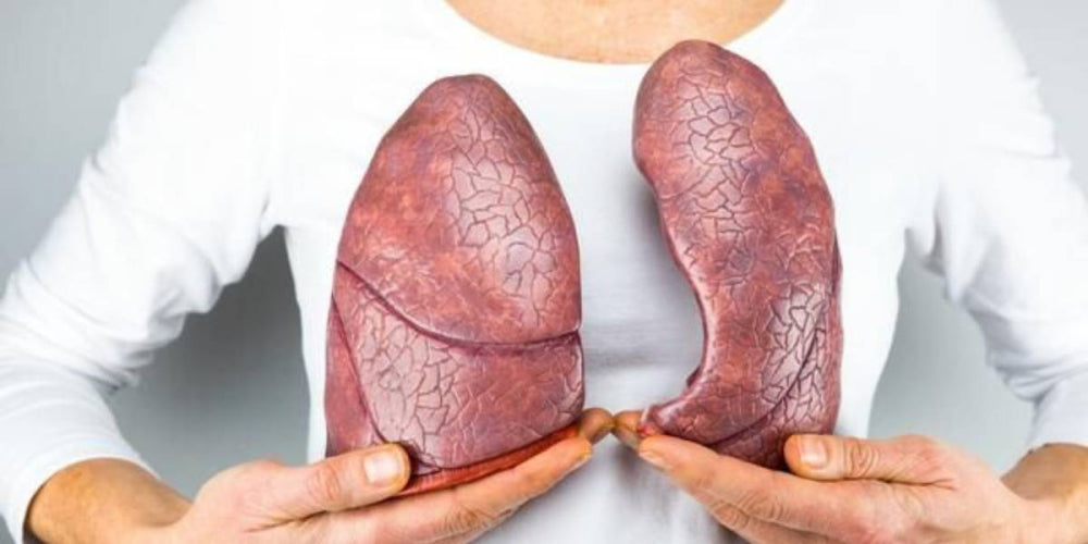 Symptoms of Lung Qi Deficiency?