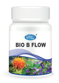 H005 B FLOW