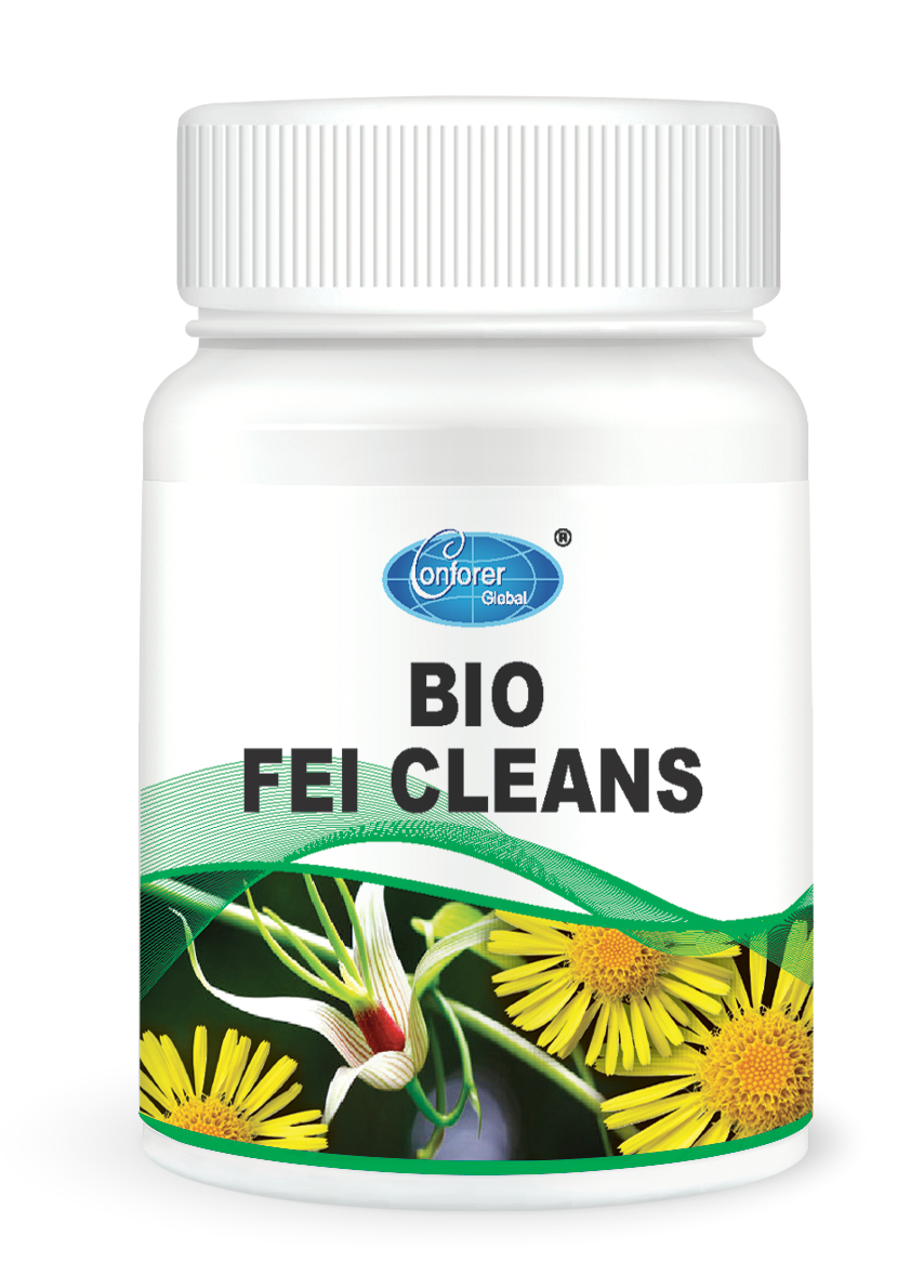 H006 FEI CLEANS-2