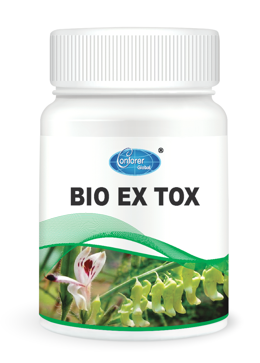 H007 EX TOX-2