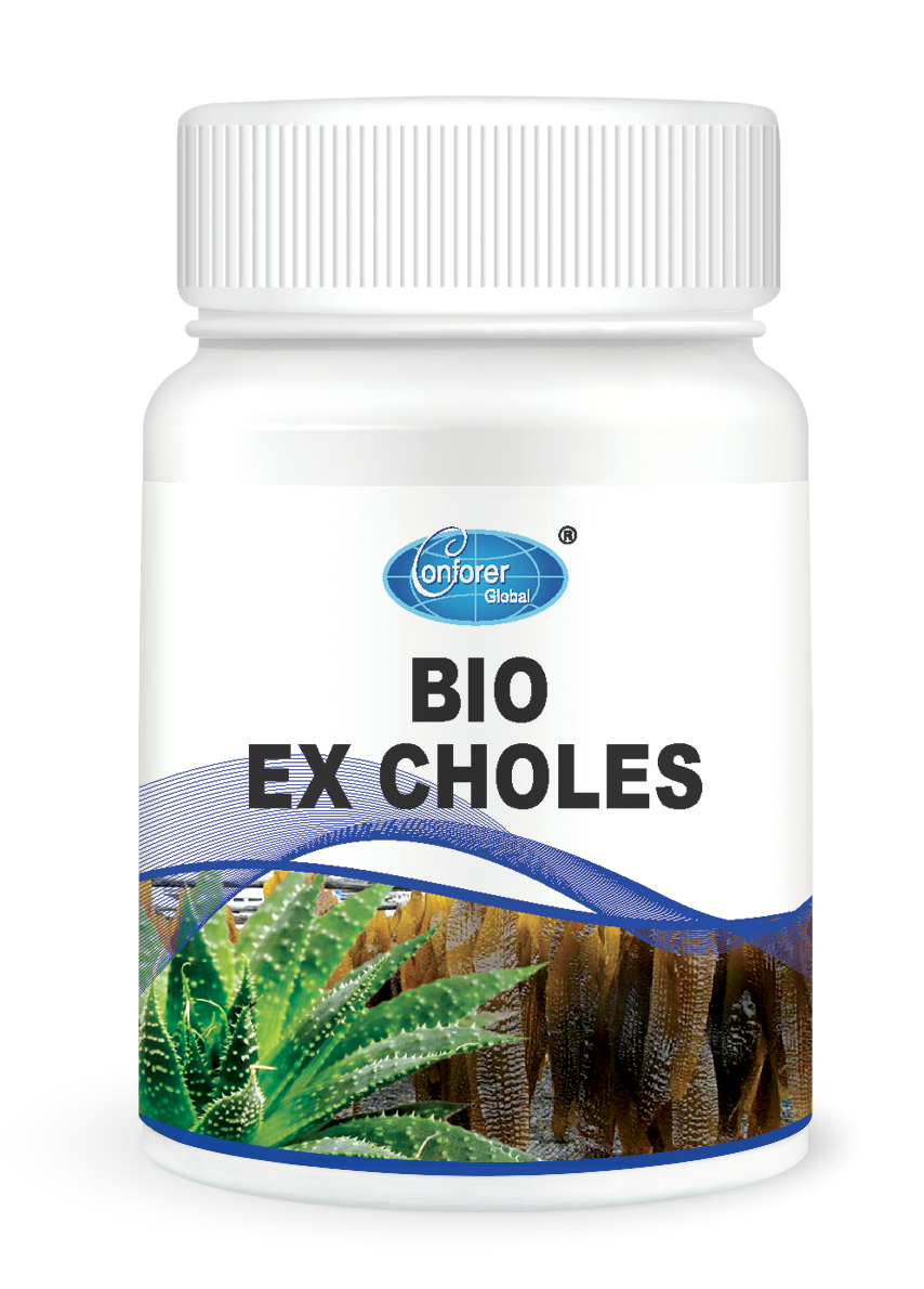 H009 EX CHOLES