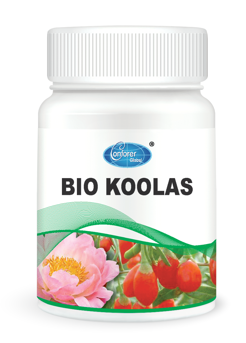 H011 KOOLAS