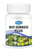 H026 GINKGO EXTRACT