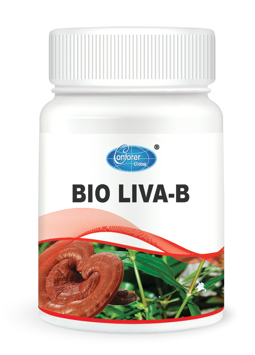 H029 LIVA-B