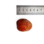 Sulfur-free Premium Honey Dates 300g