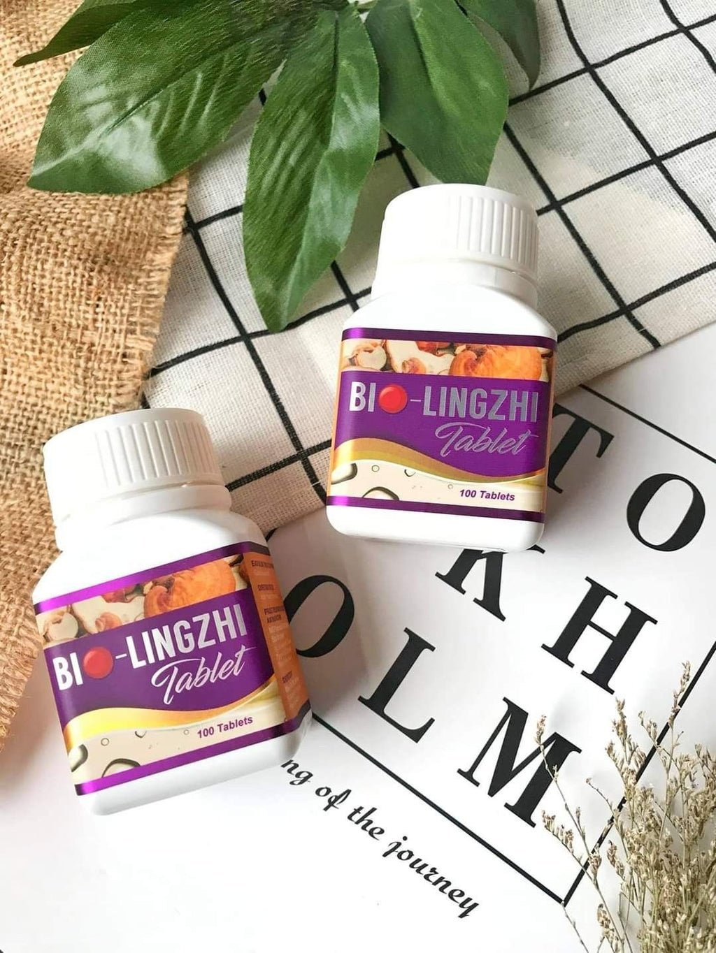 Wellous Bio- Lingzhi