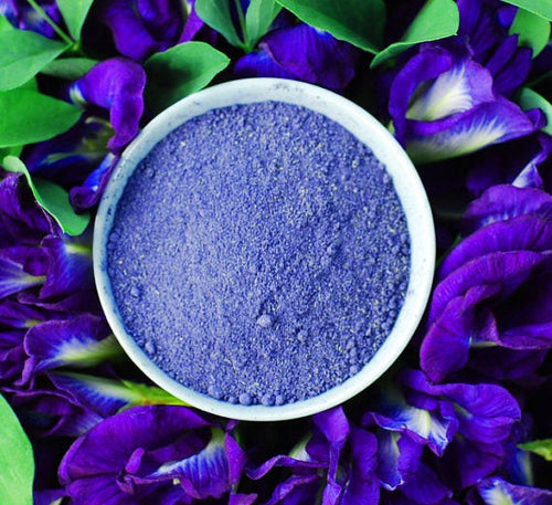 LS Butterfly Pea Flower