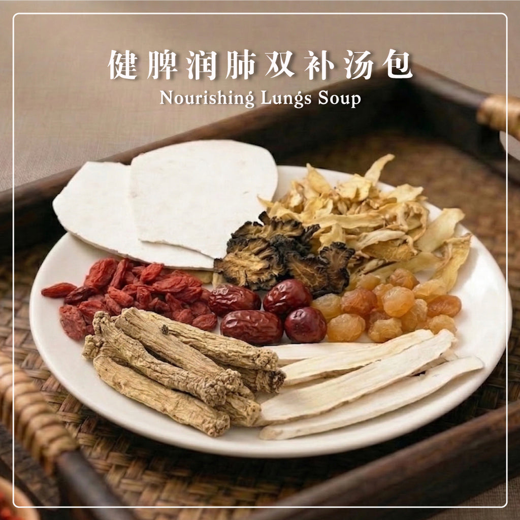 BZG Nourishing Lungs Soup