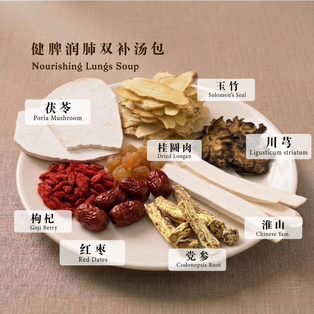 BZG Nourishing Lungs Soup