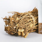 Food Art Souperkid Optigrow - Promote Bone Growth