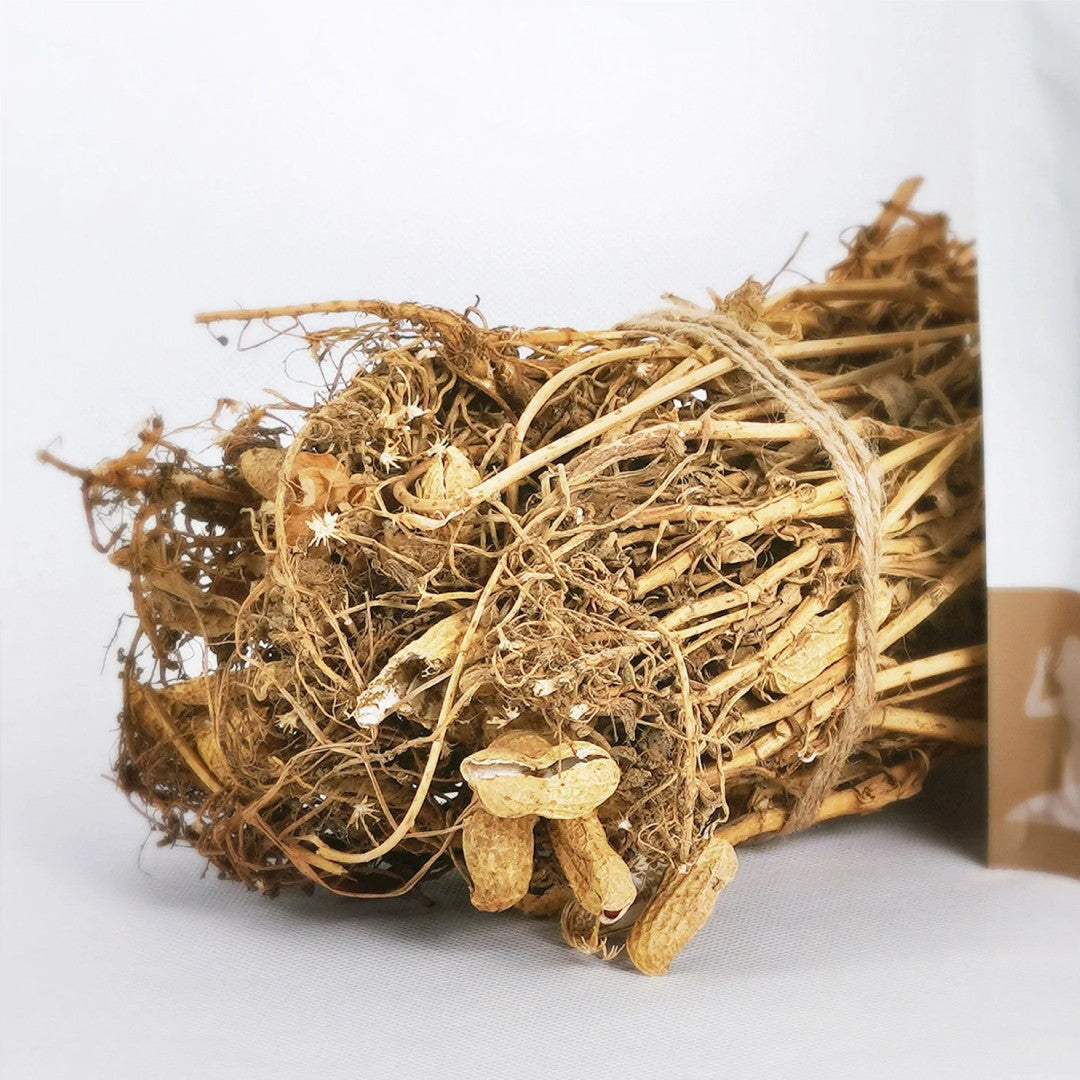 Food Art Souperkid Optigrow - Promote Bone Growth